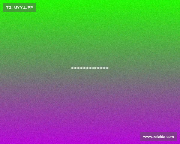 谢什科与纽卡就个人条款达成一致 以斯基拉转会接近完成