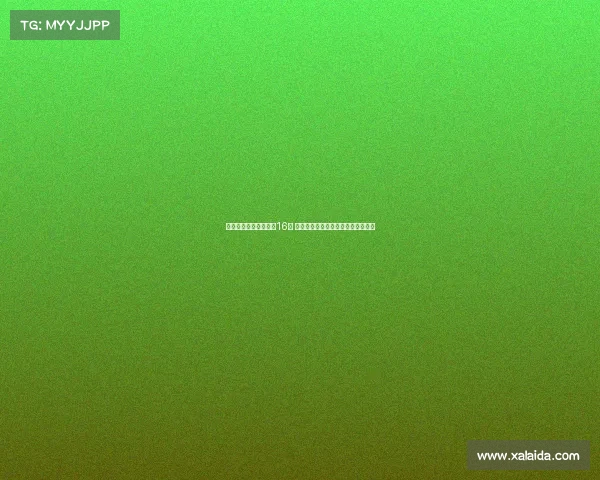 赵睿延续火热状态斩获16分 赵继伟胡明轩状态复苏带队强势反弹