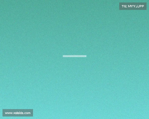 柔道项目技术风格革新探索与发展路径分析