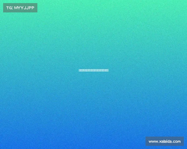 柔道项目技术风格革新探索与发展路径分析