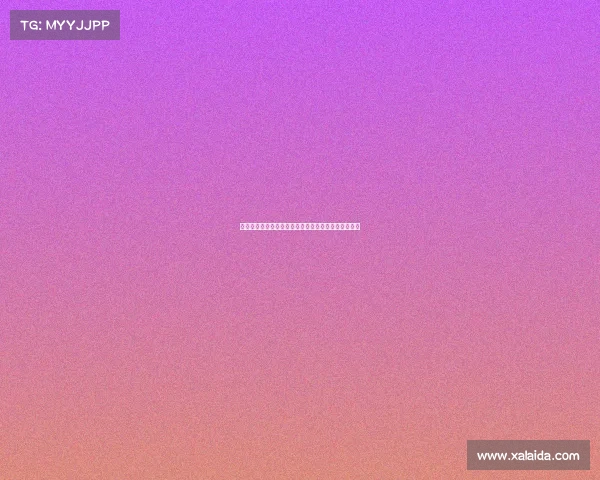 荷兰足球基金会助千名退役球员顺利再就业开启新人生