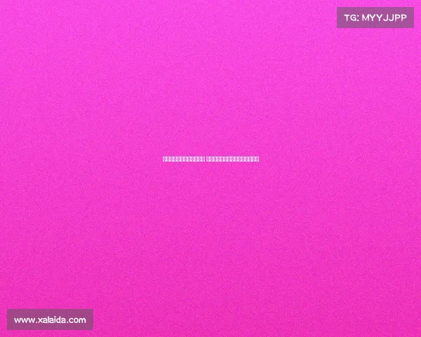 辽宁队新外援杰隆布朗加盟 将与赵继伟威尔斯携手出战新赛季