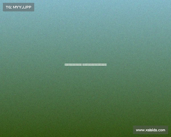 巴萨队长袖标归属引发争议 球员意见分歧支持特狮与回避态度并存