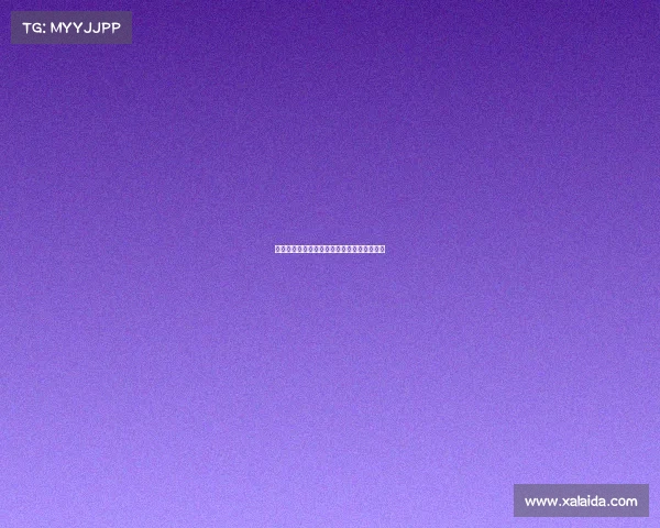 科隆足球俱乐部：德甲劲旅的崛起与挑战之路